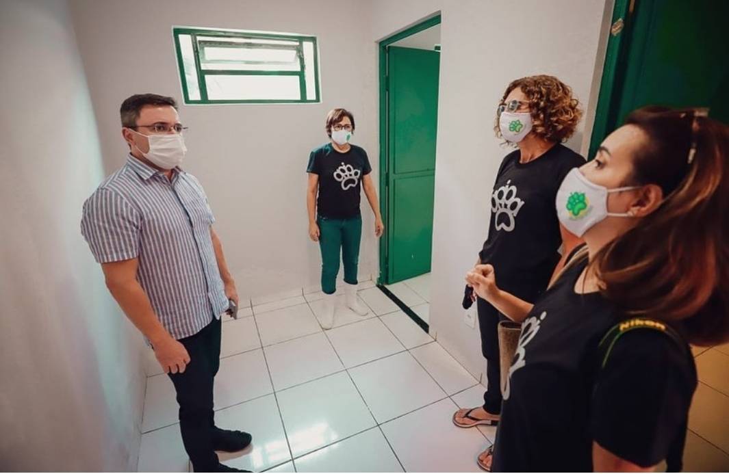 Apipa terá R$ 100 mil para equipar centro cirúrgico para castração de animais em Teresina